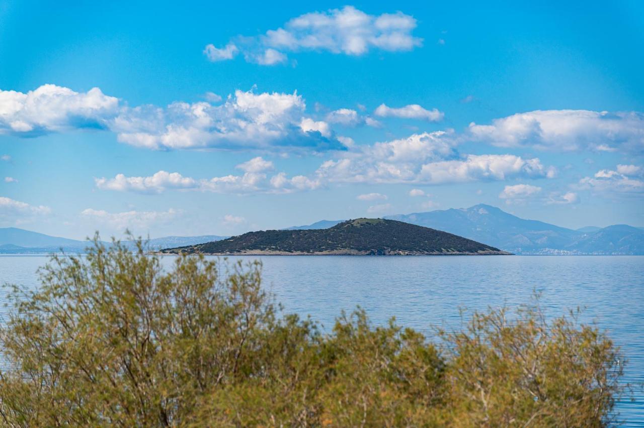 Апартаменти Ο Μόλος Marmari  Екстер'єр фото